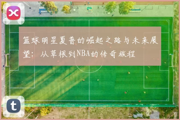 篮球明星夏普的崛起之路与未来展望：从草根到NBA的传奇旅程