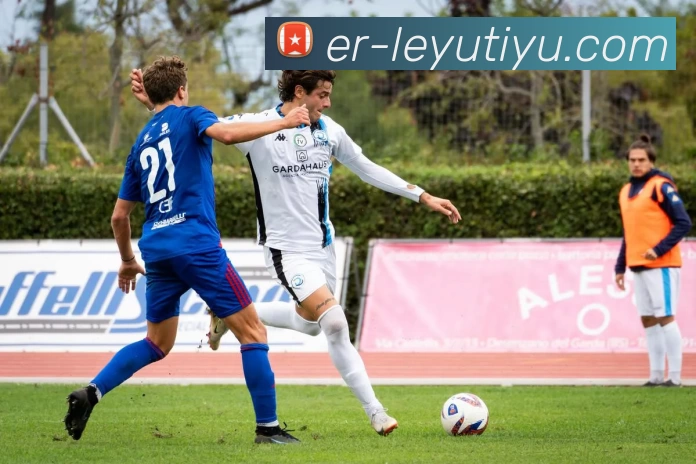 leyu平台服务体系