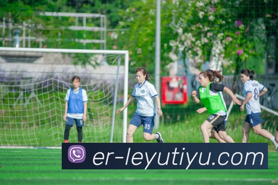 多媒体互动体验